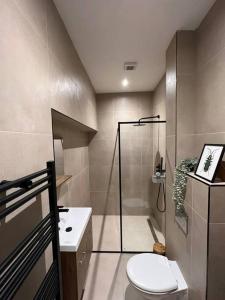 奈梅亨Old Town City Centre Apartment的带淋浴、卫生间和盥洗盆的浴室