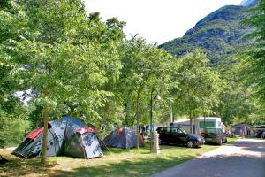 马尔切西内Camping Alpino - Nature Village的一群帐篷停在一个树木繁茂的田野里