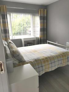莫伊拉Valley Stream Guest Accommodation的一间卧室配有一张带铺着地毯的床和窗户。