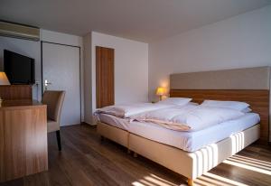 希尔登城市公园酒店的一间卧室配有一张大床和电视