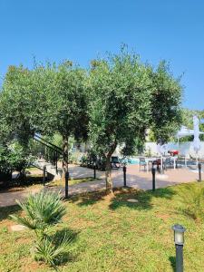 卡里尼Sweet Sicily Apartments的公园里有两个树,桌子和椅子