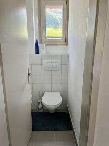 塞德龙Swiss Alpine Hideaway的一间带卫生间和窗户的小浴室