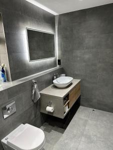 埃尔沃斯Luxury West London 3BR House, Cul De Sac的一间带水槽和卫生间的浴室