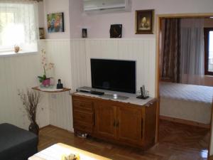 诺维·维诺多尔斯基Apartment in Novi Vinodolski with air conditioning, WiFi, washing machine 3541-4的客厅配有木柜上的电视