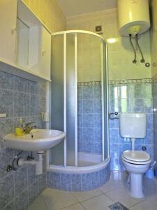 罗戈兹尼察拉迪克公寓的带淋浴、盥洗盆和卫生间的浴室