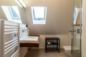 考斯赛力克udanypobyt Apartament Koliba的一间带水槽和卫生间的浴室以及窗户。
