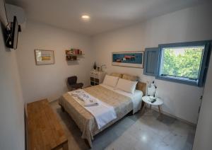 厄尔·坎皮洛·德·罗达尔Casa Appaloosa Cabo de Gata的一间卧室设有一张床和一个窗口