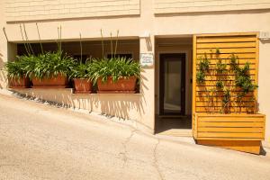 波尔图桑特埃尔皮迪奥Resilienza Tropical Apartments & Room的旁边是种盆栽植物的建筑