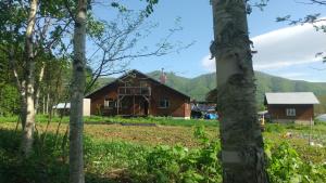 赤井川Ski base的山林中的房屋