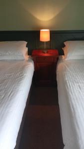 伦敦赛古酒店的一间卧室配有两张床和床头灯。