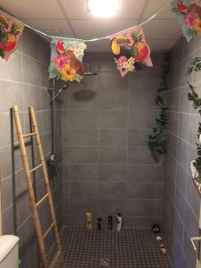 Villeneuve-sur-YonneLes Sainfoins, Idéal voyageurs Pro的墙上设有带鲜花淋浴的浴室