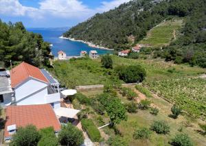 BrusjeStiniva Bay - Hvar Villa的享有湖畔山丘上房屋的空中景致