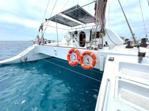 伊维萨镇Catamarán Tagomago 50的船上有两件救生衣