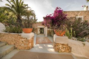 圣何塞Boutique Hotel Jardines de Palerm的一座花园,在石墙上放着两盆花