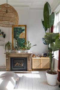 安特卫普Musa Antwerp的客厅设有壁炉和植物