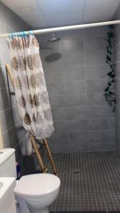 Villeneuve-sur-YonneLes Sainfoins, Idéal voyageurs Pro的带淋浴、卫生间和毛巾的浴室