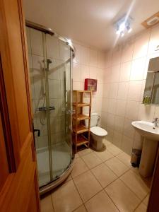 圣让多尔普Chalet Liberte的带淋浴、卫生间和盥洗盆的浴室