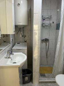 帕里斯特Apartman Dado的一间带水槽和淋浴的小浴室