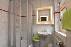 阿恩施塔特格德尼桑酒店的带淋浴、盥洗盆和镜子的浴室
