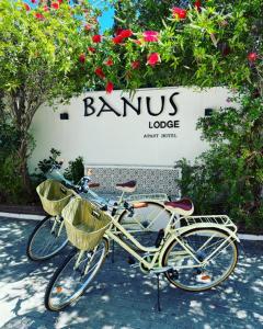 马贝拉巴努斯旅馆的停在大楼前的自行车,装有篮子