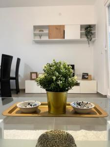 维罗维蒂察Apartman Panonica的一张桌子,上面放着两个碗和盆栽植物