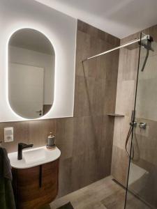 PouchFerienwohnung am Goitzschesee的浴室配有盥洗盆和带镜子的淋浴
