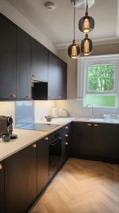 布莱顿霍夫Contemporary beach apartment的厨房配有黑色橱柜、水槽和窗户。