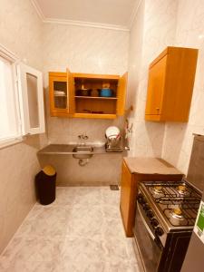 阿莱曼Marina Hills Residence的一间带水槽和炉灶的小厨房