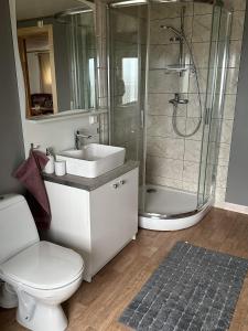 Ytre KibergBarents sea window的带淋浴、卫生间和盥洗盆的浴室