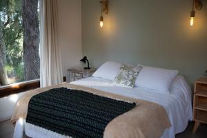 乌拉圭河畔康塞普西翁Estancia La Titina, Posada y Reserva Natural的一间卧室设有一张大床和窗户