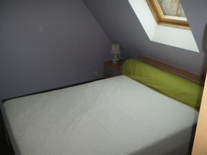 SénerguesMaison de campagne的小卧室配有一张带绿毯的床