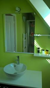 SénerguesMaison de campagne的绿色浴室设有水槽和镜子