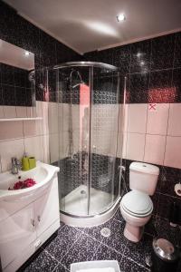 托隆Hotel Assini Beach Tolo的带淋浴、卫生间和盥洗盆的浴室