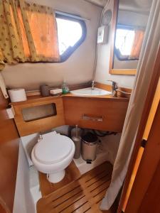 阿尔盖罗LUPA - La flotta di Willy Giò的一间带卫生间和水槽的小浴室