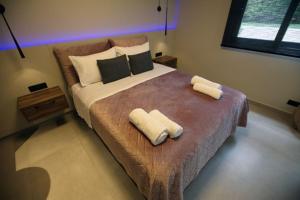 纳夫普利翁Animus Premium apt的一间卧室配有一张大床和两条毛巾