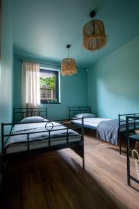 奥尔什丁WYWIAŁOWO的蓝色墙壁客房的两张床