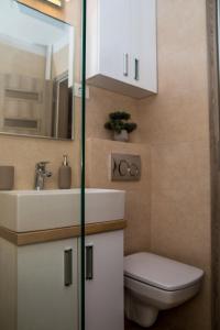 尼普顿Apartament Zeuss Neptun的一间带水槽、卫生间和镜子的浴室