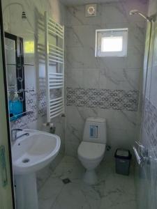 茨卡尔图博Nunu's Guesthouse的浴室配有白色卫生间和盥洗盆。