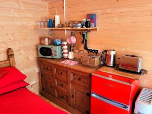 康威Tan y coed's Rosemary Cabin的厨房配有红色炉灶和微波炉