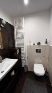 拉塔Apartament Willa Woda的浴室配有白色卫生间和盥洗盆。