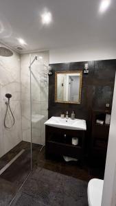 拉塔Apartament Willa Woda的浴室配有盥洗盆和带镜子的淋浴