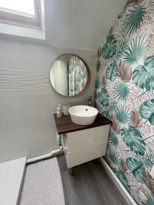 瓦兹河畔欧韦Le Dortoir Daubigny的一间带水槽和镜子的浴室