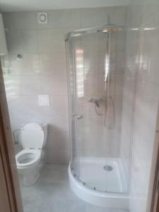 OlszanicaDomki całoroczne Bieszczady的带淋浴和卫生间的浴室