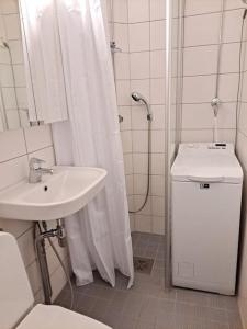 赫尔辛基Puotilan idylli meren lähellä的一间带水槽、淋浴和卫生间的浴室