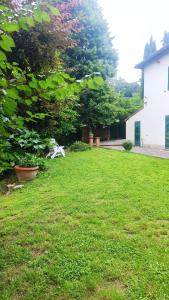锡耶纳Agriturismo Le grondaie的绿地庭院,长凳和一棵树