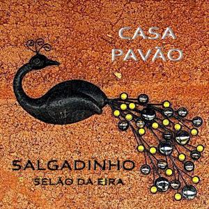 圣特奥托纽CASA PAVÃO (SALGADINHO - SELÃO DA EIRA)的地面上一幅黑鸟的画