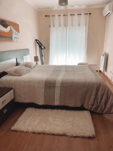 阿尔科谢蒂Apartamento Alcochete的一间卧室配有一张带地毯的床和窗户