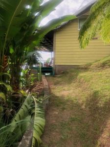 Ginger Lodge Cottage, Peters Rock, Woodford PO St Andrew, Jamaica - this property is not in Jacks Hill外面的花园