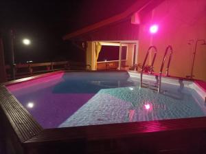 莱昂斯-达赫雷La Villa de Petite Anse - Piscine的游泳池晚上有紫色灯光