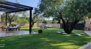 罗维尼卡萨爱丽丝酒店的两个野餐桌和一棵树在院子里